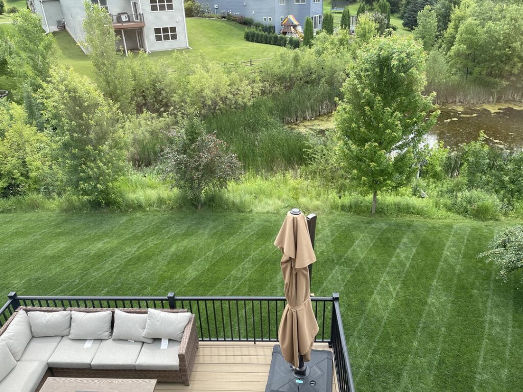 Stripes showing up good this week!