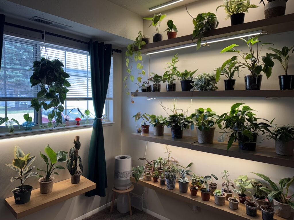 My plant wall - but something feels off?