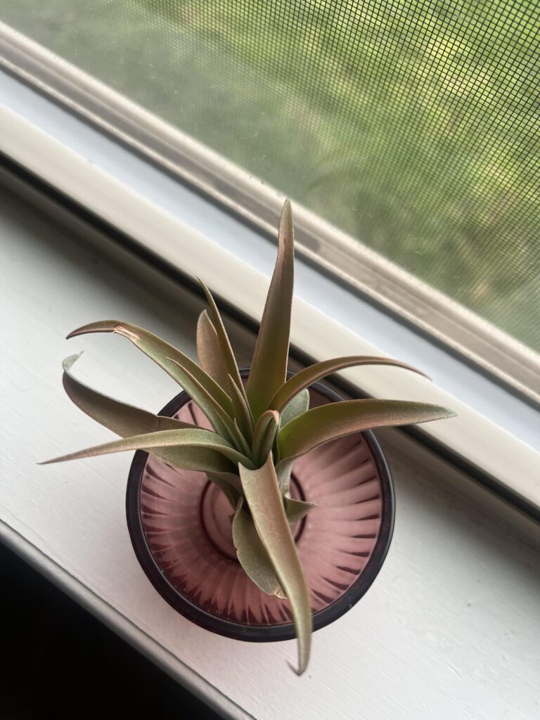 Does this look okay?