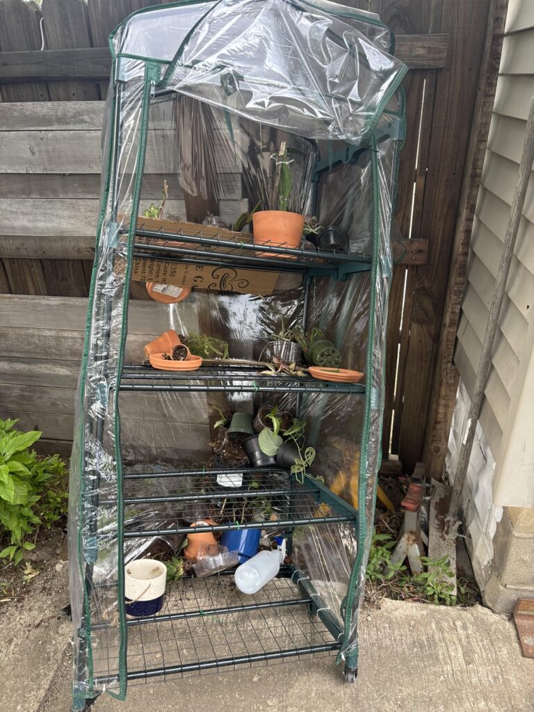 Worst nightmare Worst nightmare