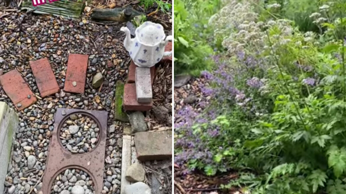 Gardener shares satisfying video of beautiful yard feature in action following heavy rain: ‘Working perfectly as designed’ "Yours inspired mine!"
