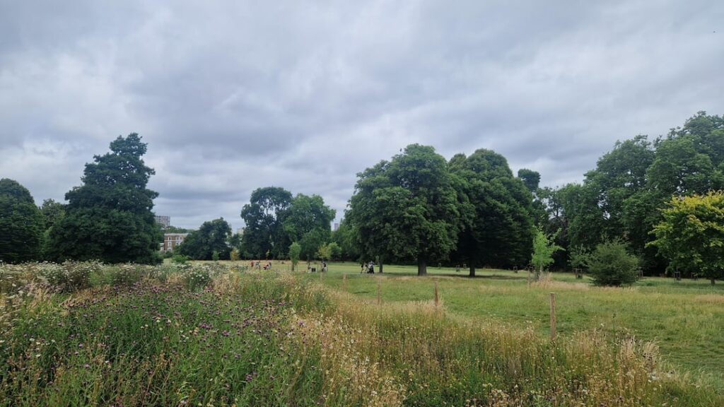My local park's conservation project. They also made a frog pond