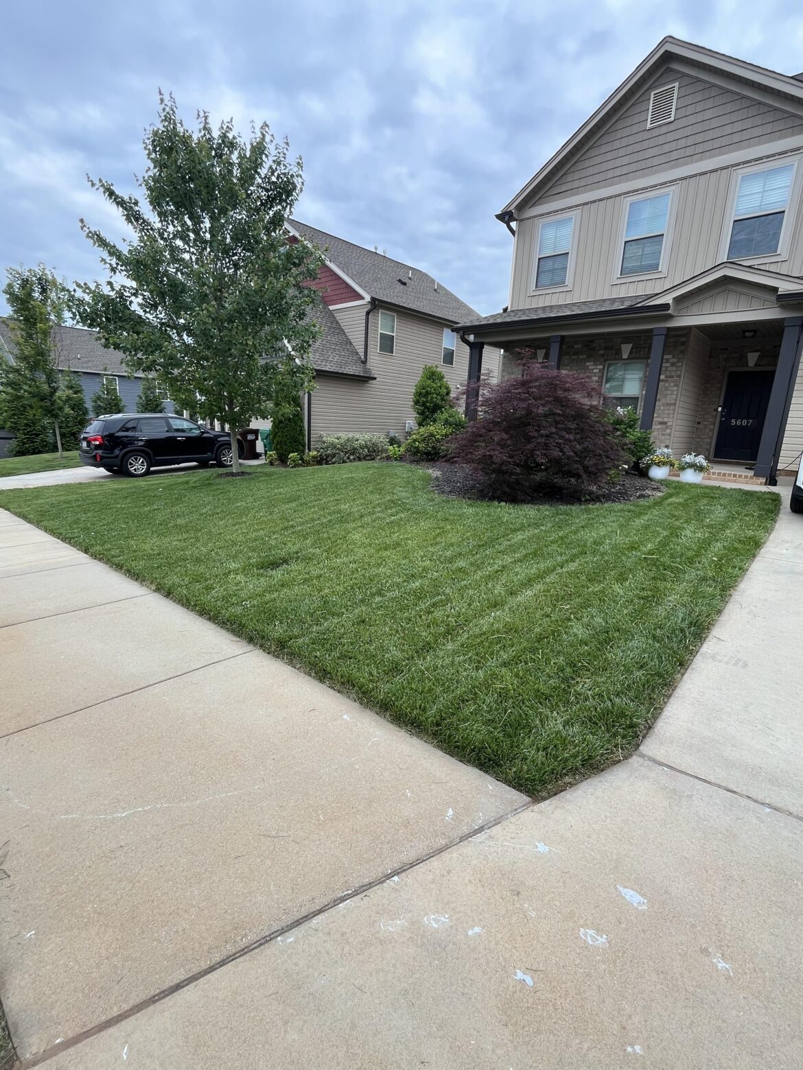 No questions, just happy with my lawn