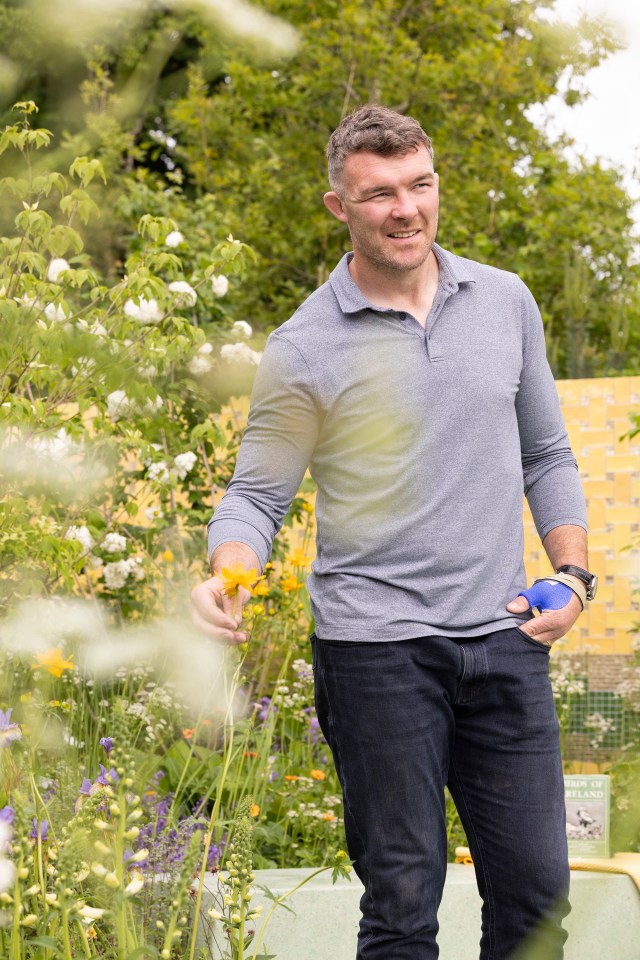 Peter O’Mahony at the Kerrygold garden launch.
