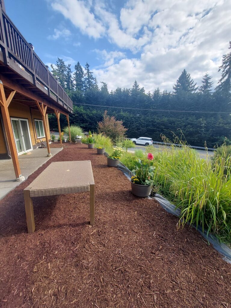 Got rid of the last bit of lawn