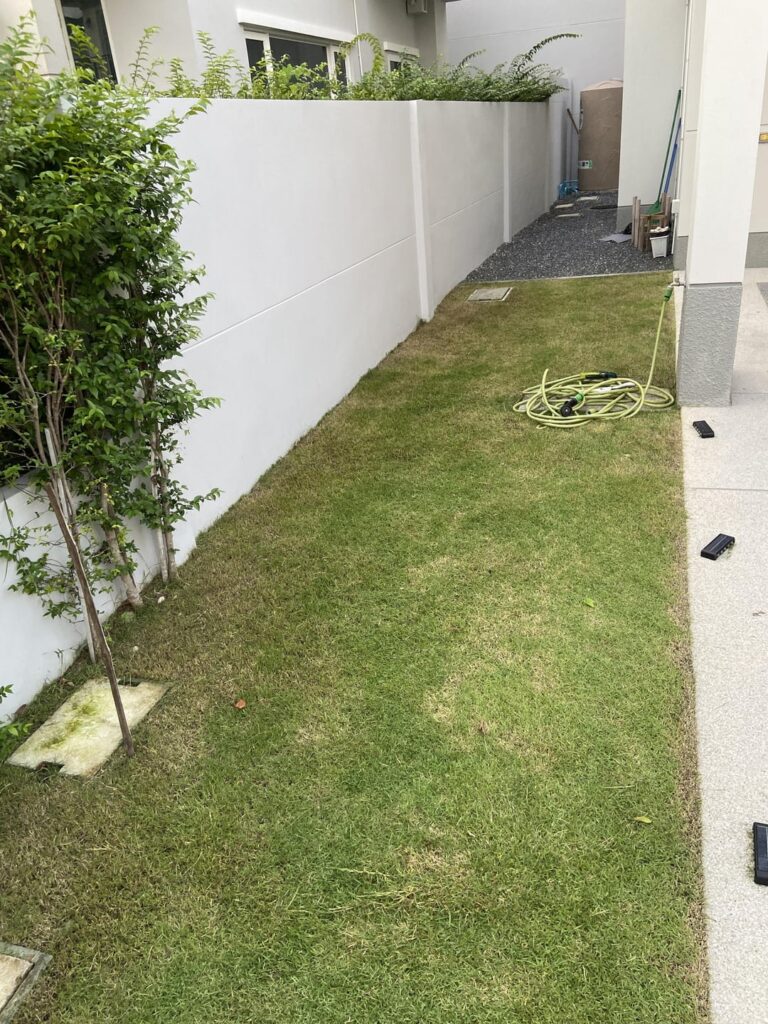 Ia this normal after trim ? It was 100% long green grass 5min before