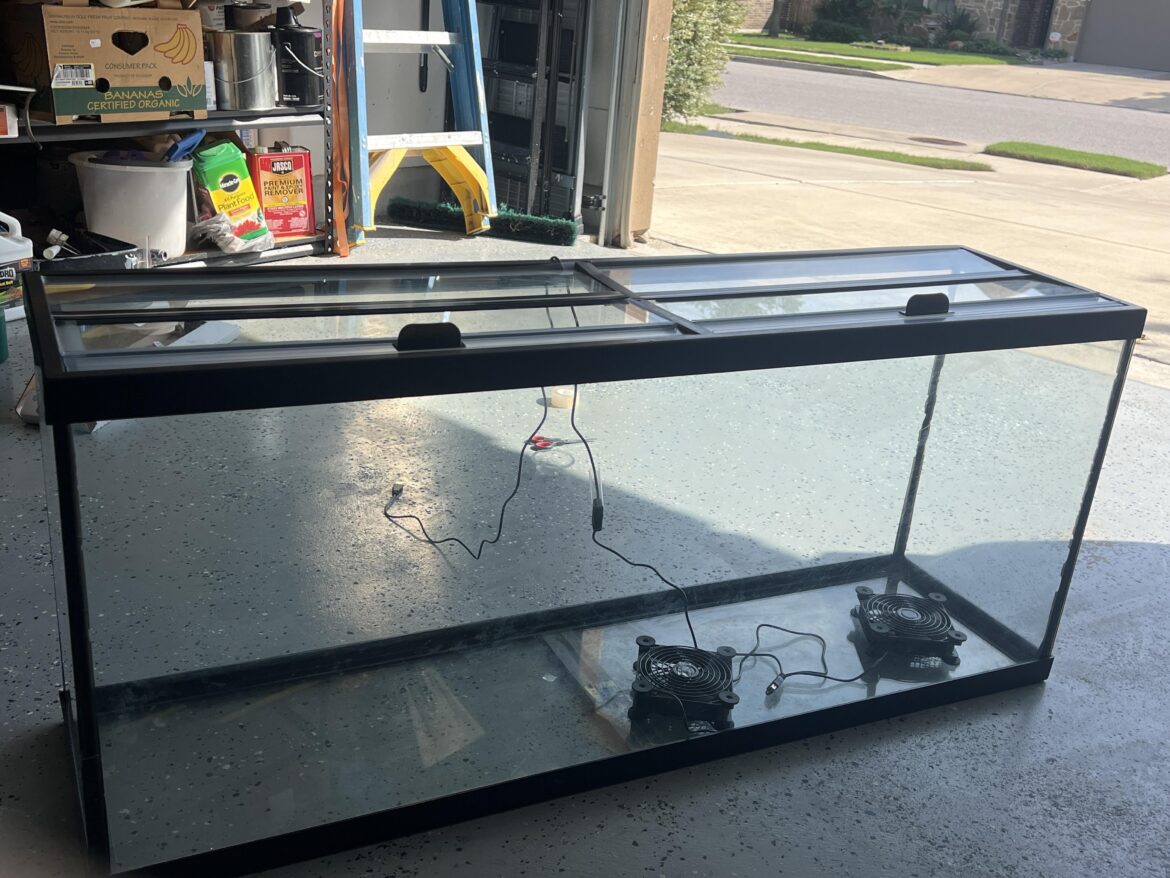 What could I keep in this 45 gallon tank?