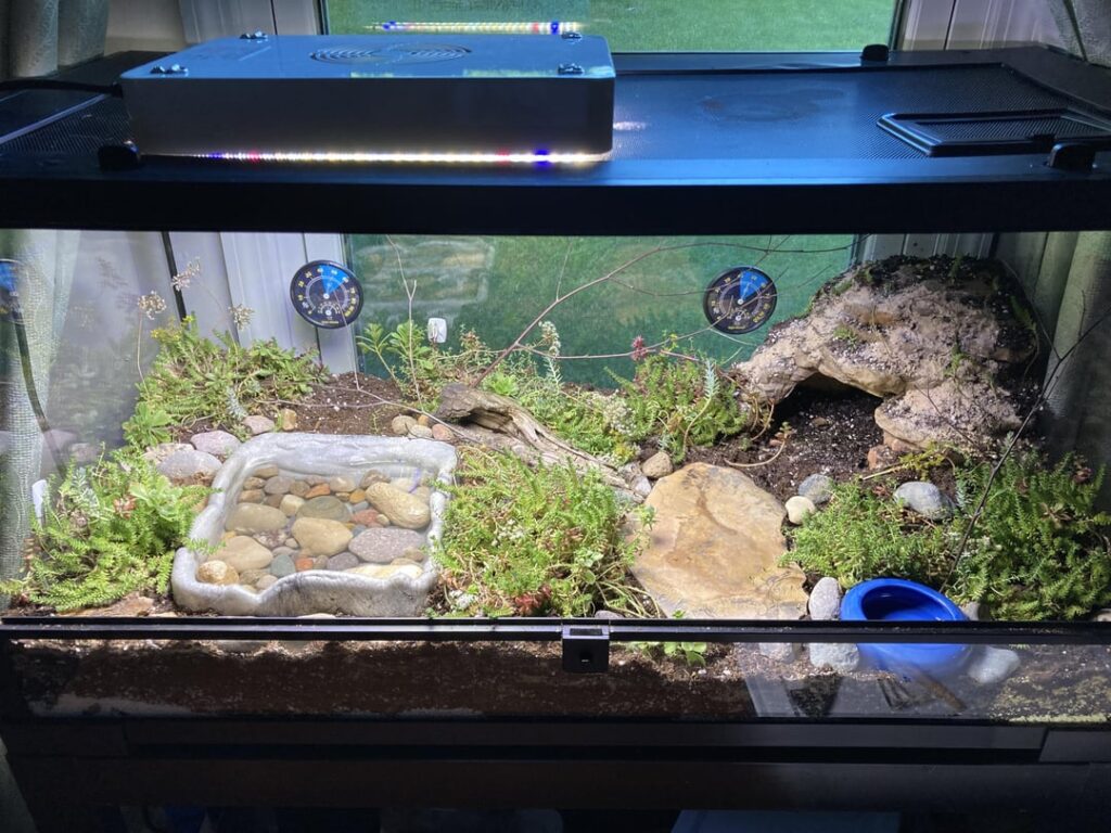 I made some changes and took some suggestions. Want to keep improving, so what’s next? I made some changes and took some suggestions. Want to keep improving, so what’s next?