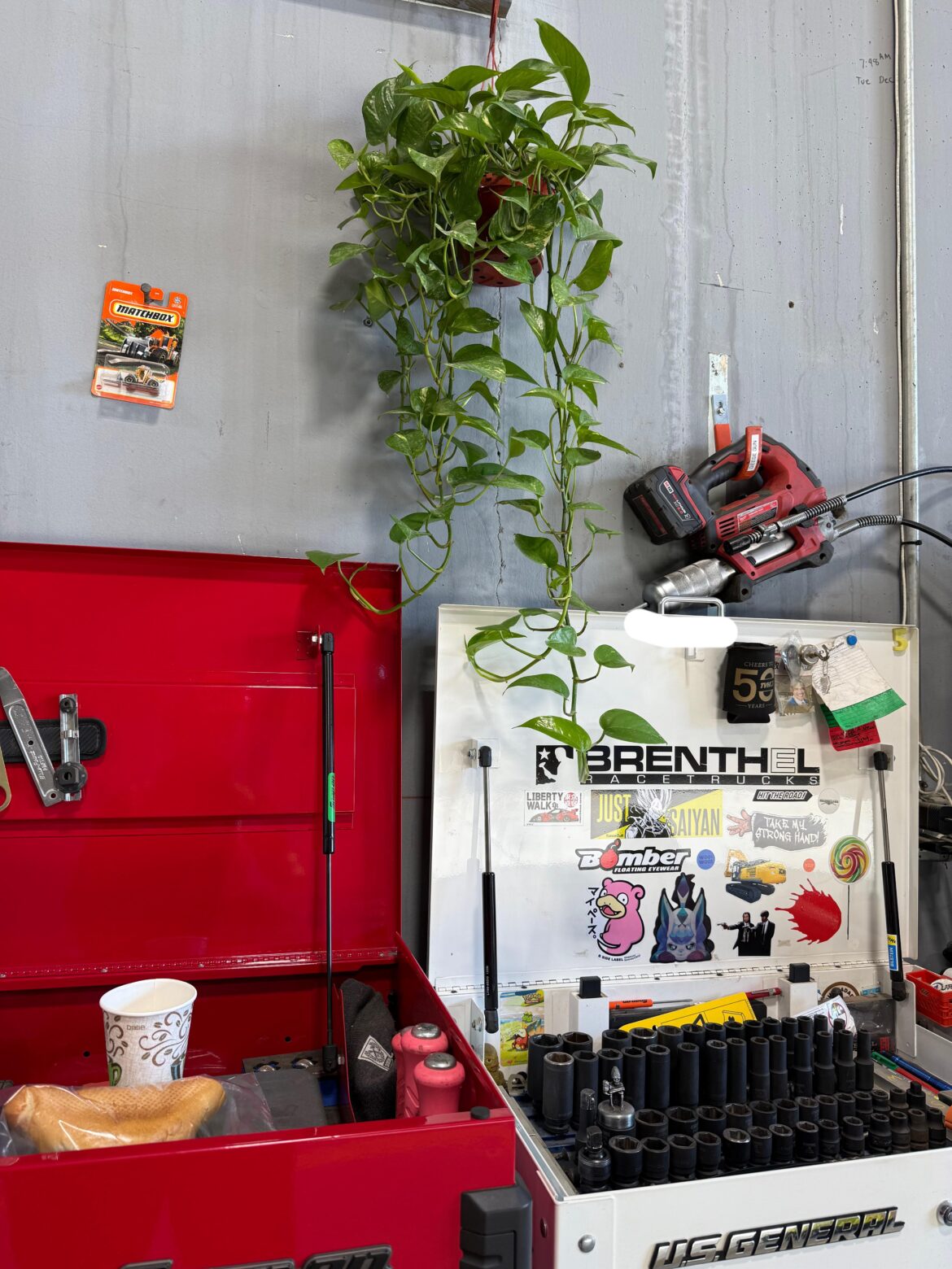 Should I cut what is hanging or let it grow?