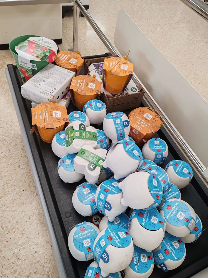 Sainsbury's shoppers' carts filled with small garden plant kits.