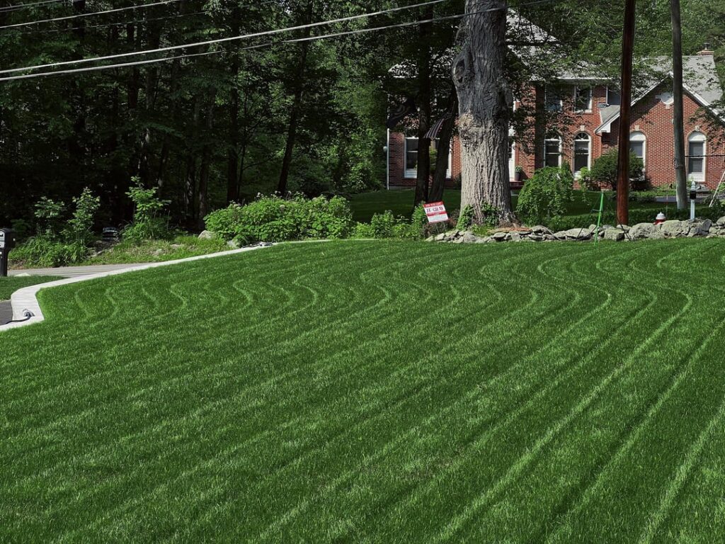 Update: This was bare dirt six weeks ago. Update: This was bare dirt six weeks ago.