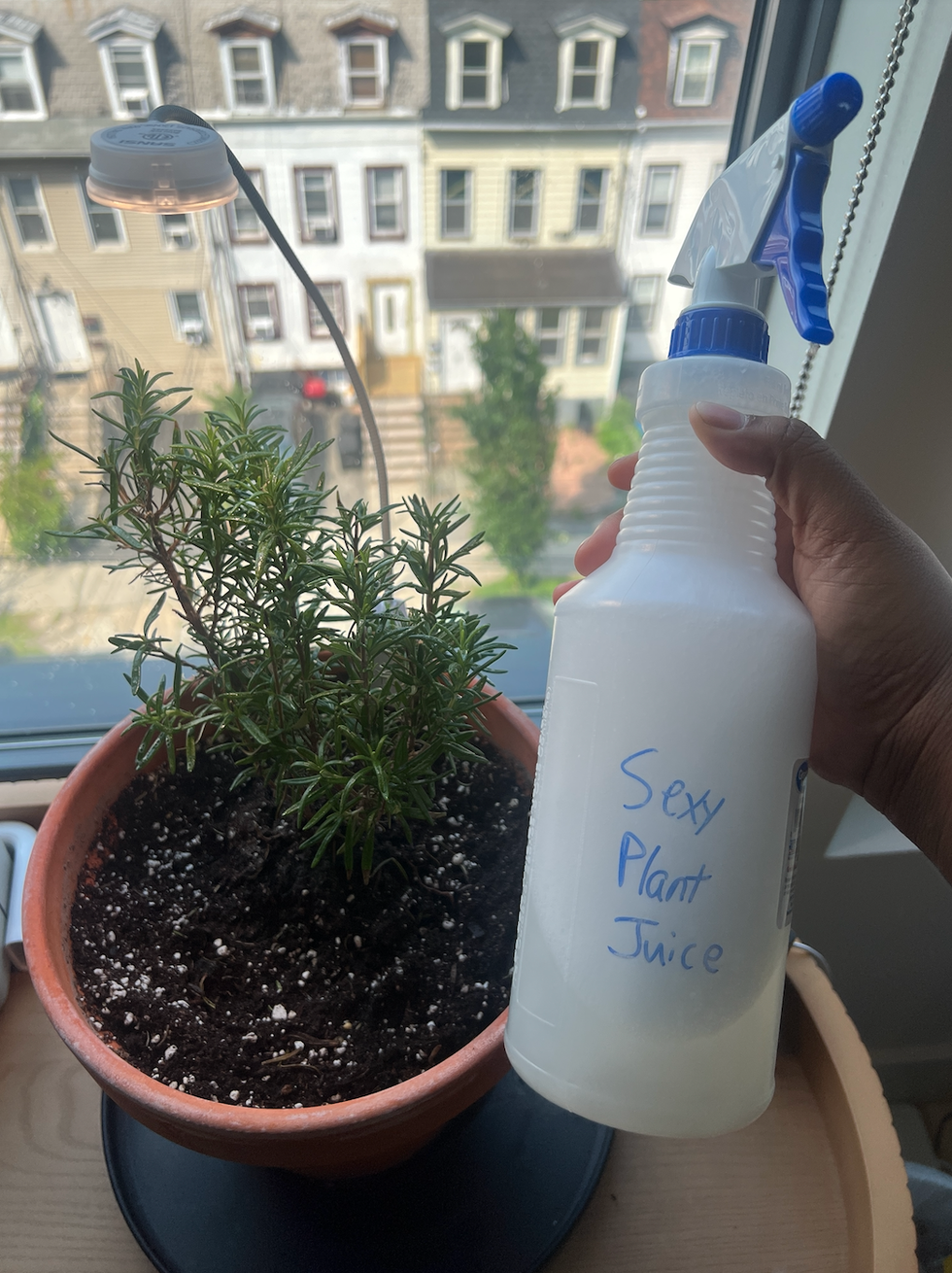 homemade pesticide spray homemade pesticide spray