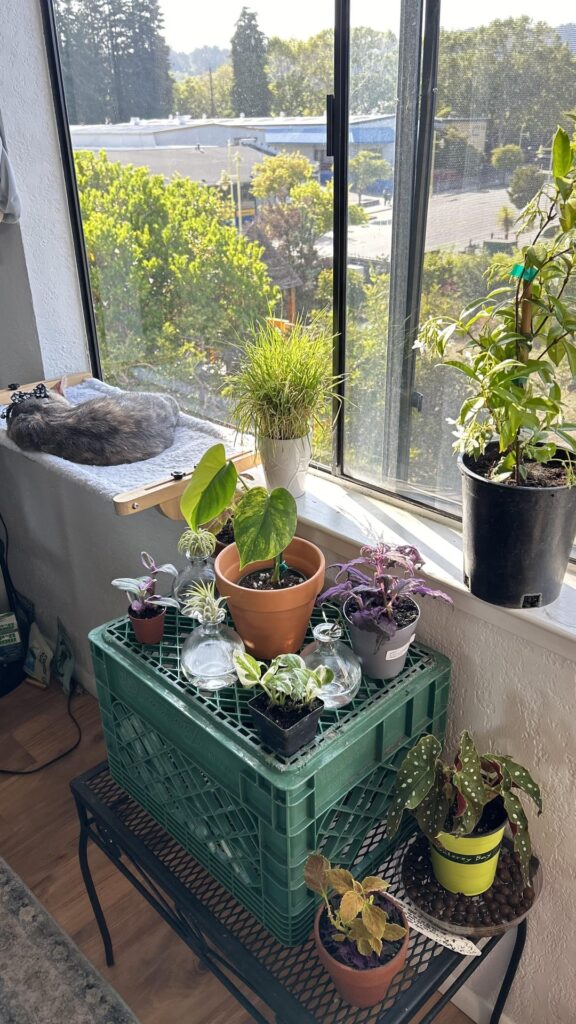 Sharing my collection progress!!