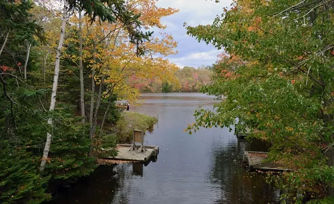 Halifax's best picnic spots: From the public gardens to the beaches