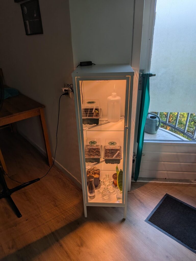 Question about growing from seed Question about growing from seed