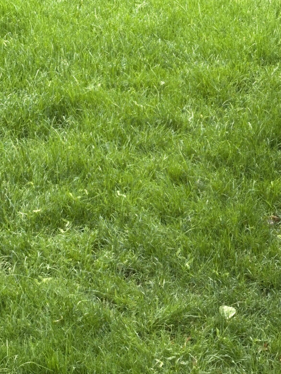 Been raining for 2 weeks straight