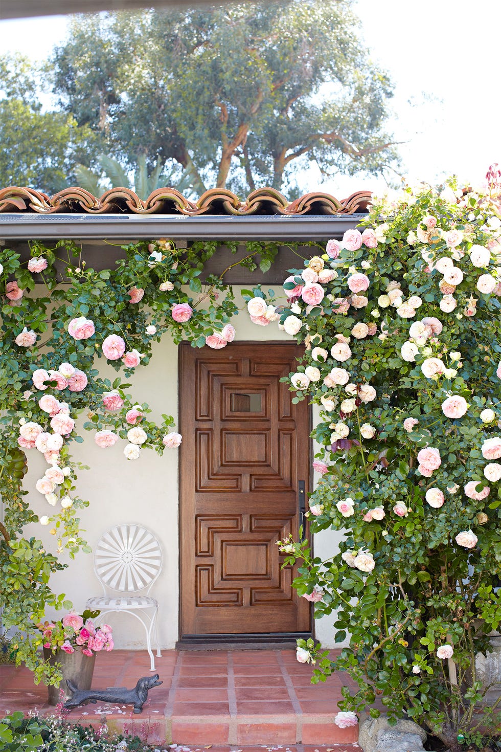 small garden ideas