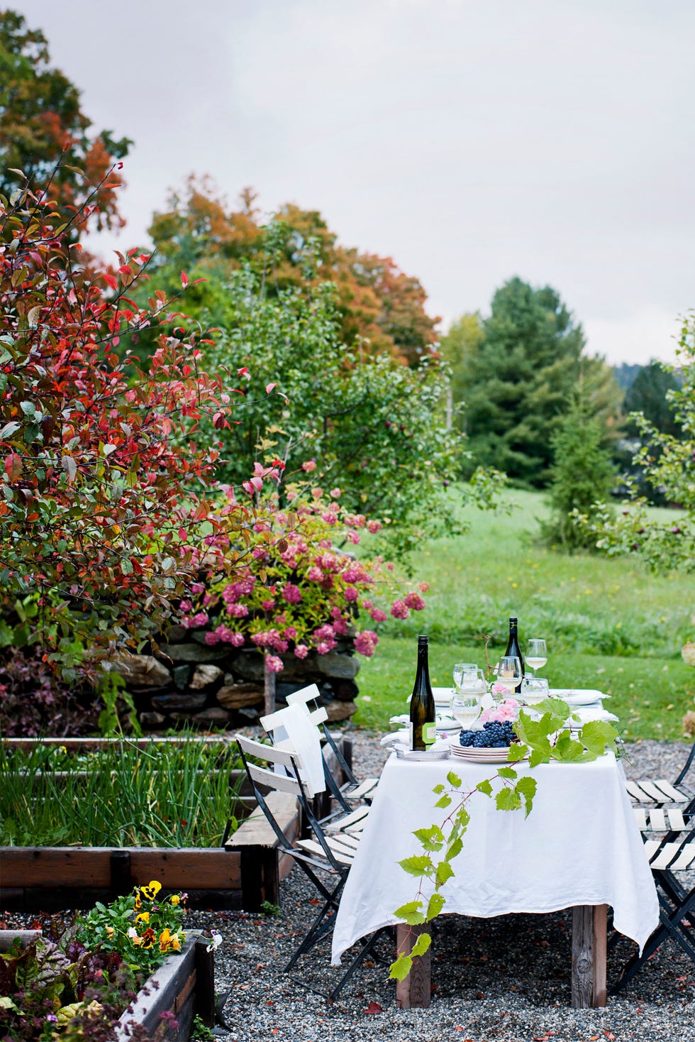 small garden ideas