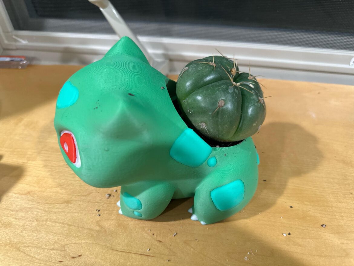 Is this a suitable pot for my Gymno Horstii?