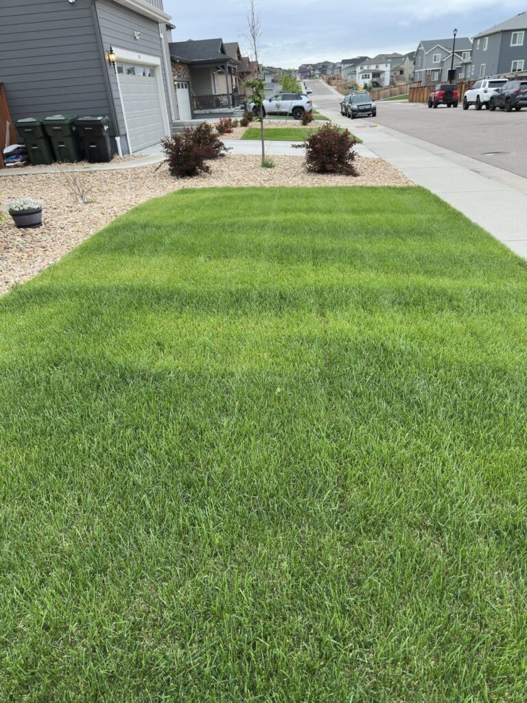 Reason for the streaking? Reason for the streaking?