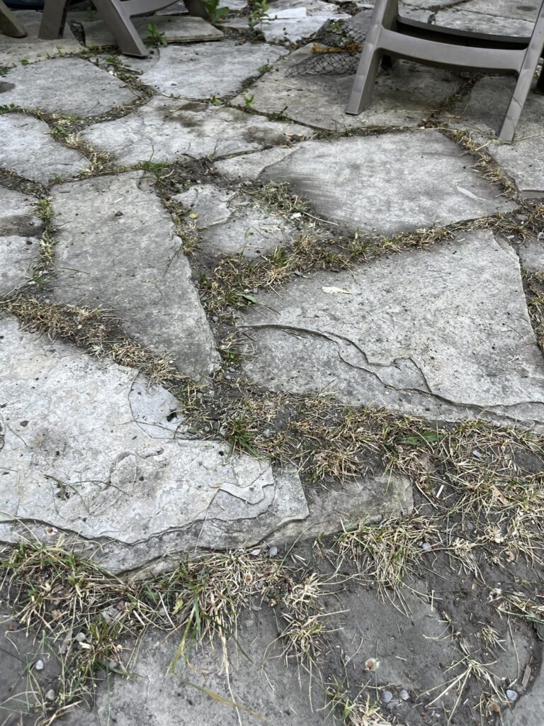 Keeping patio clean/weed free and low maintenance.