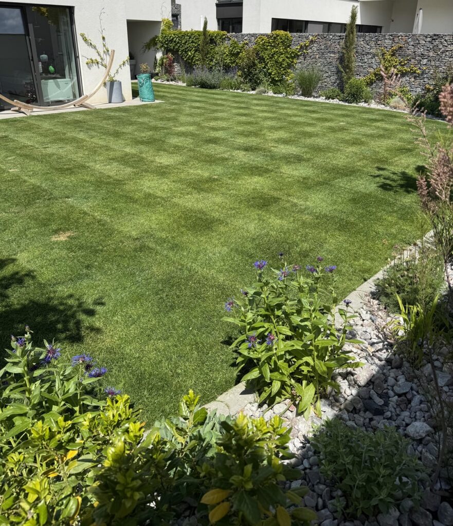 Here’s my small lawn in central Europe