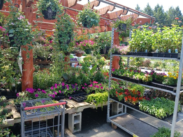 JohnBela Gift, Garden and Landscape Supply will have its sixth...