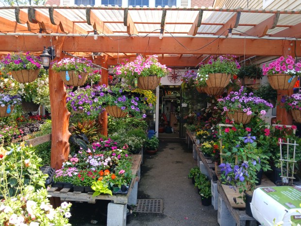 JohnBela Gift, Garden and Landscape Supply will have its sixth...