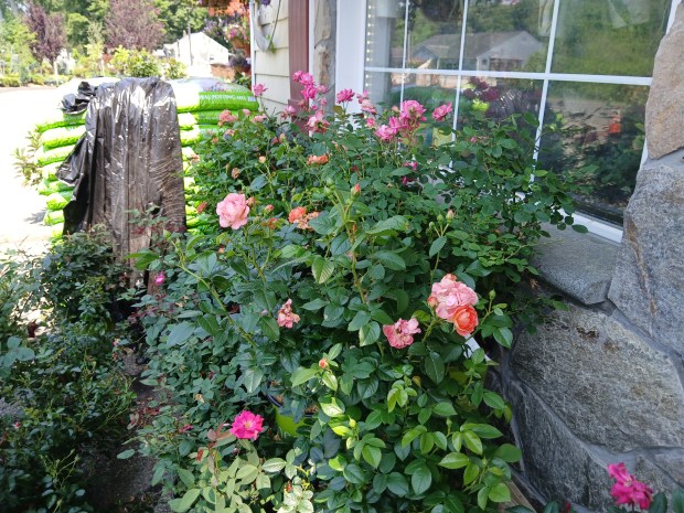 JohnBela Gift, Garden and Landscape Supply will have its sixth...