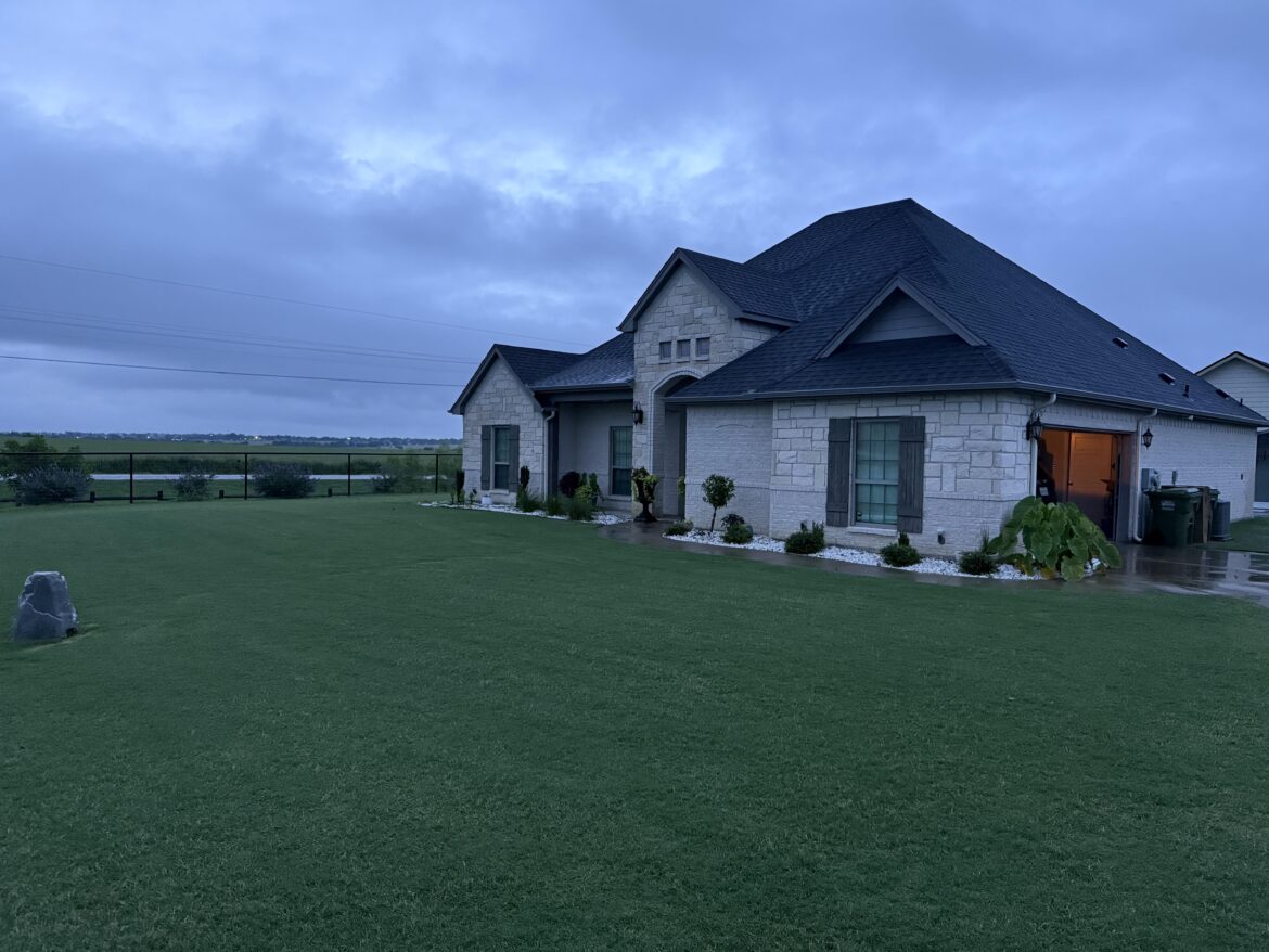 Rate my grass (North Texas)