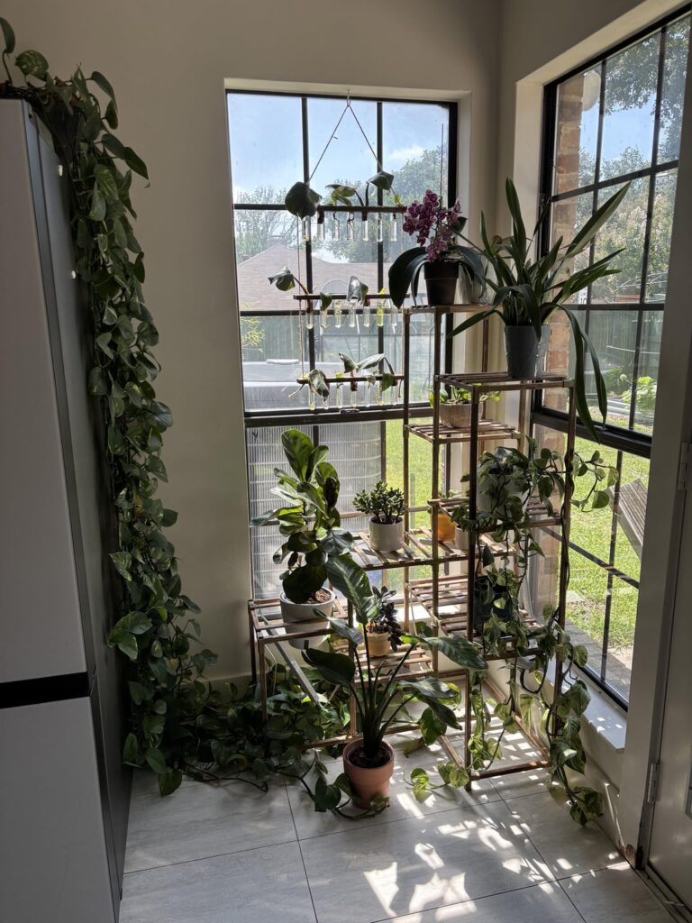 We’re moving and I don’t have the heart to tell them they’re all splitting up