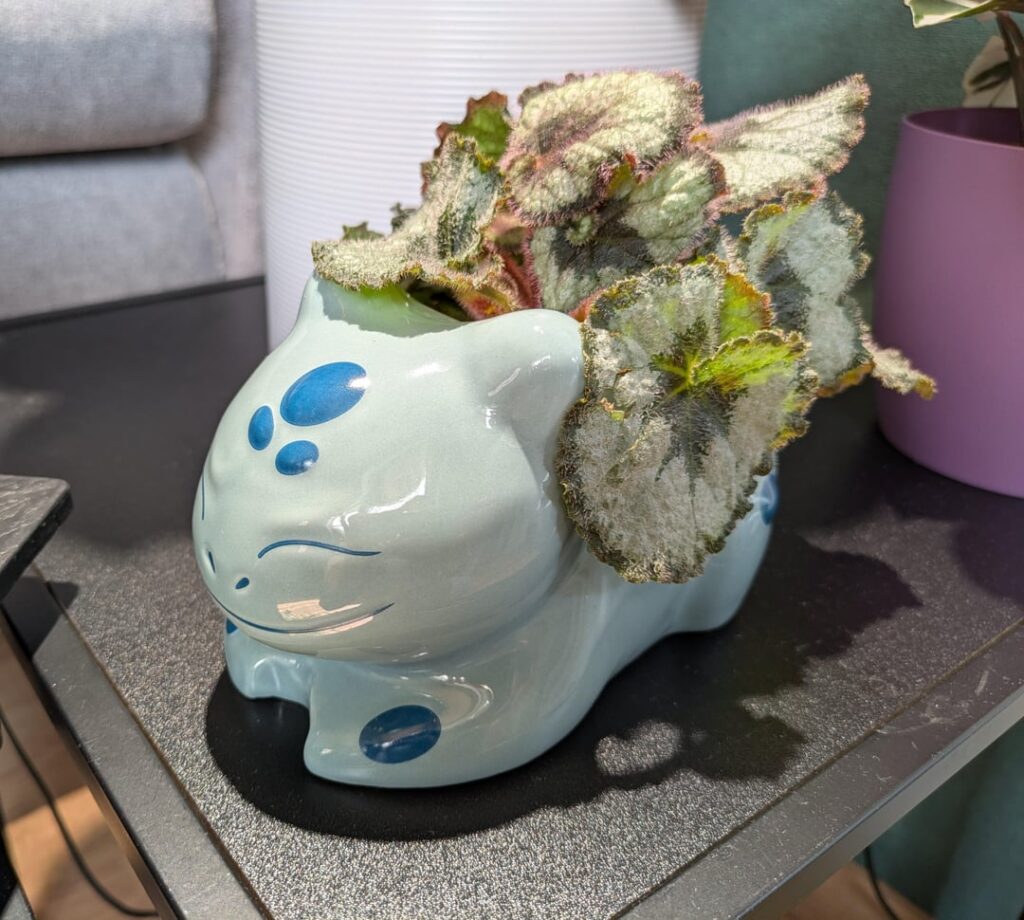 I might be in love with this pot