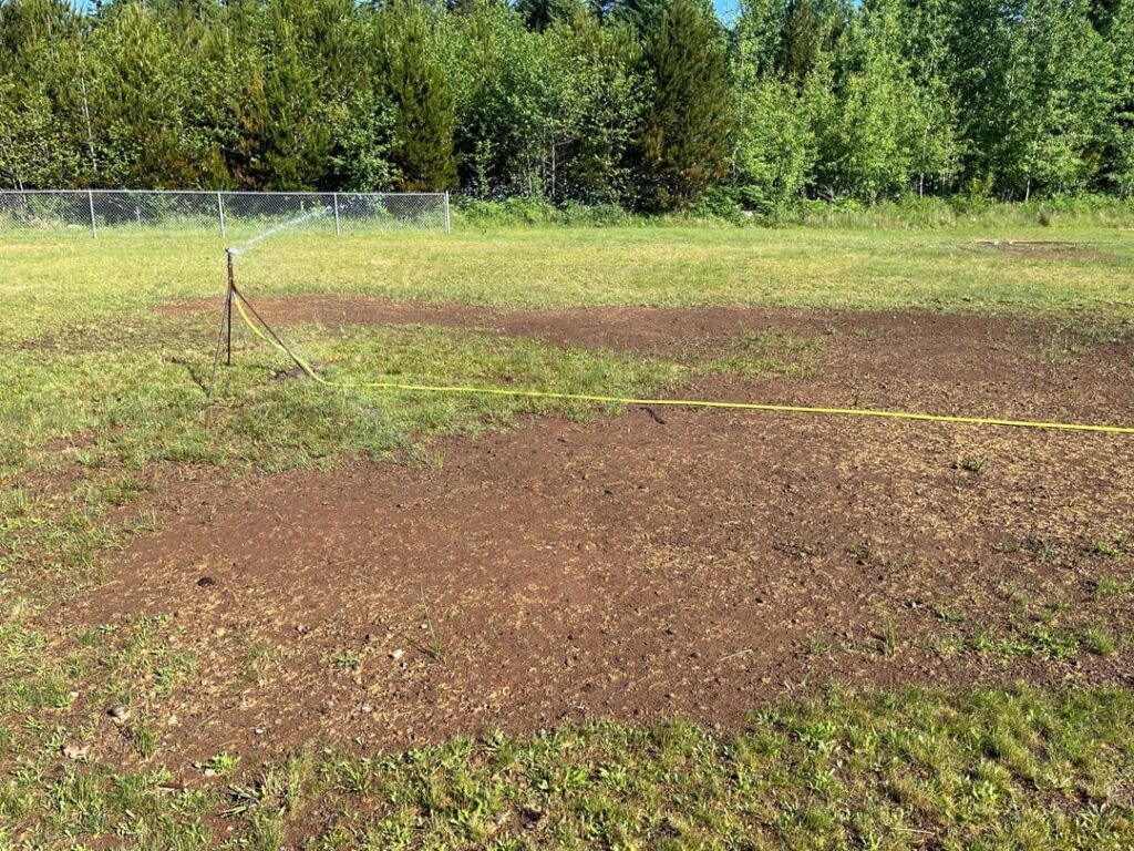 Help! Growing grass in a helicopter field Help! Growing grass in a helicopter field