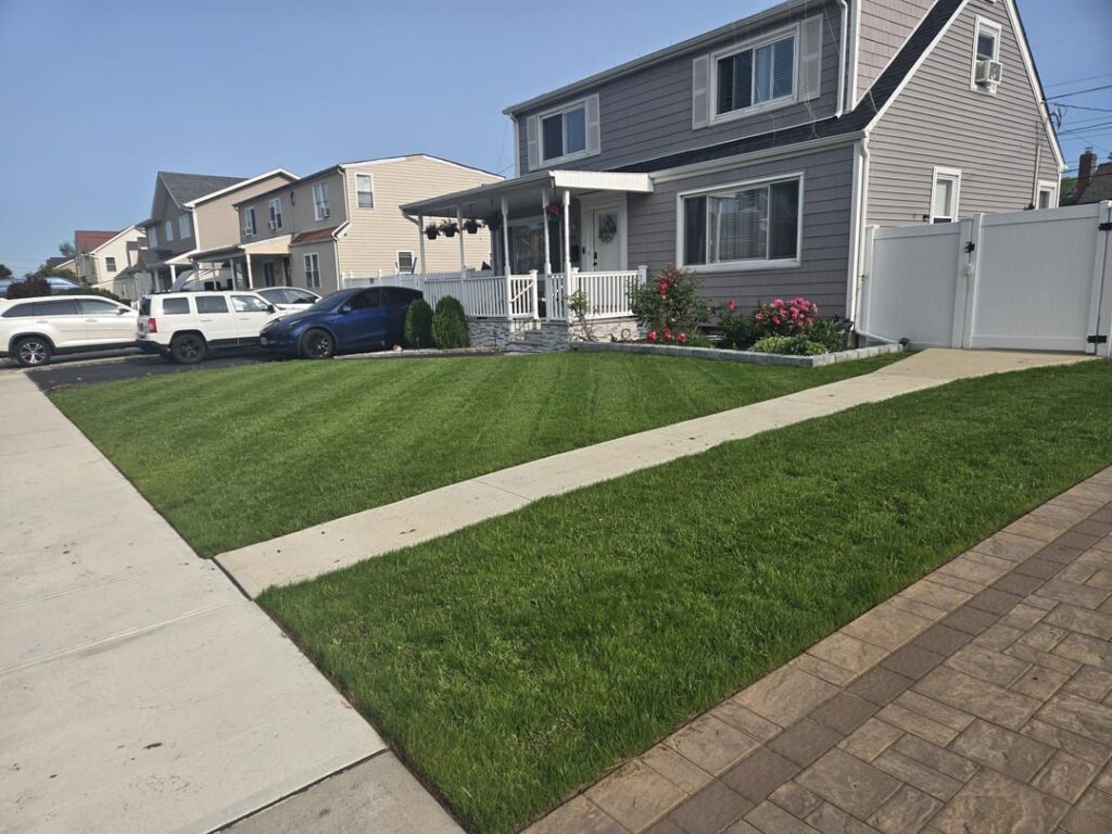 How'd I do with the lawn rehab? Posted before asking how to get my lawn to look like my neighbors