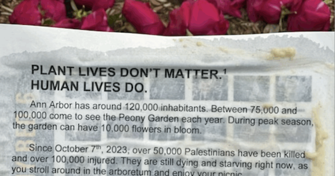 U of M police investigating after on-campus peony garden vandalized