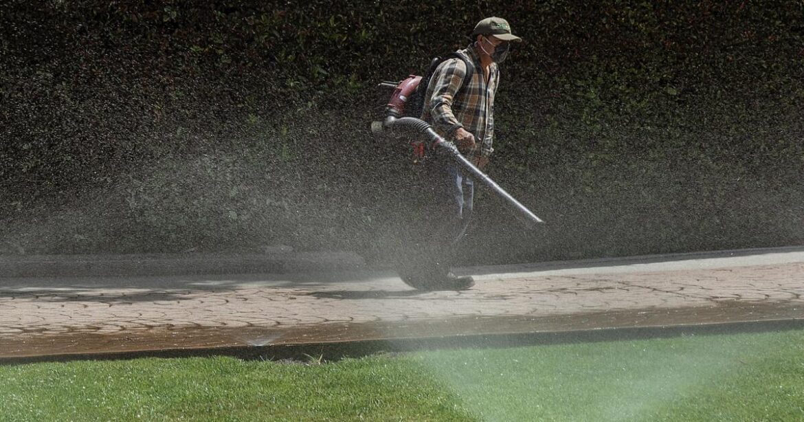 L.A. gardeners reflect on ICE: 'People are afraid'