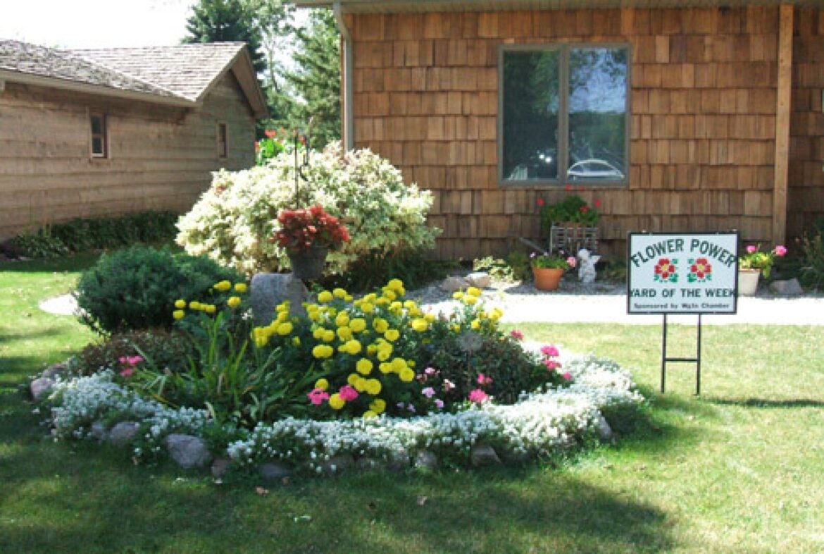 Flower Power recognition to begin June 16 – The Globe Flower Power recognition to begin June 16 - The Globe