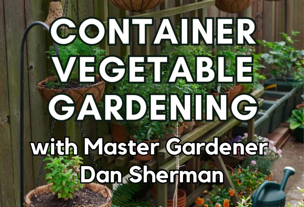 Bemidji Public Library to host 'Container Vegetable Gardening' event