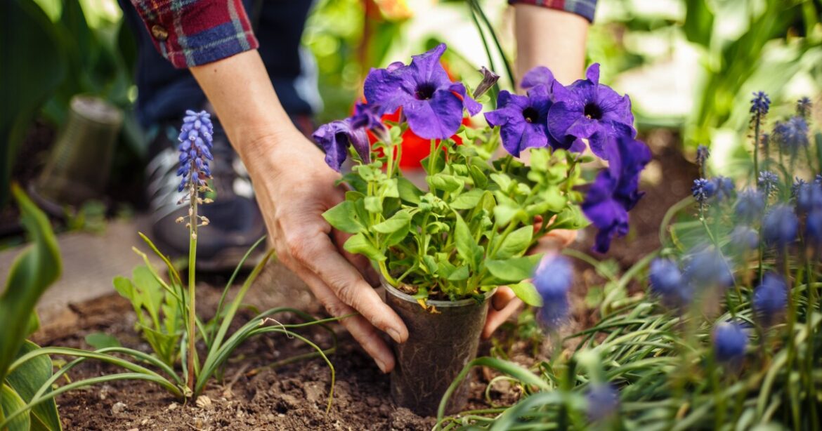 This organization is turning gardening into a wellness benefit