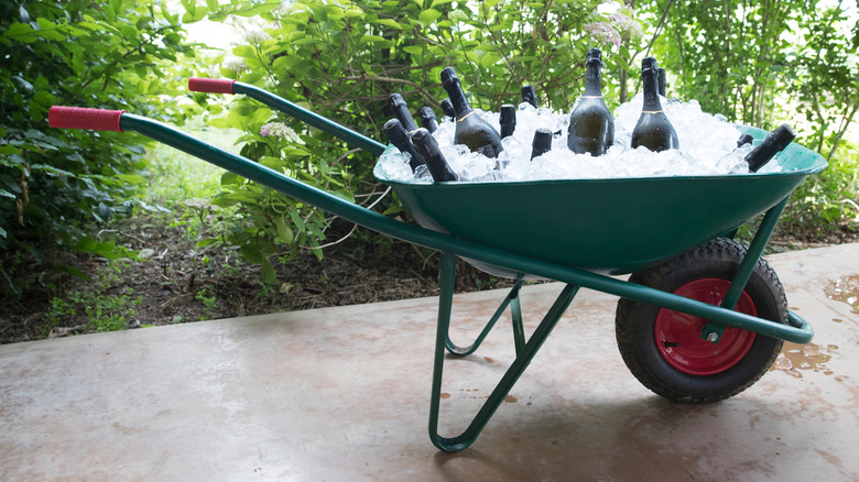 A green wheelbarrow is full of ice and bottles of champagne
