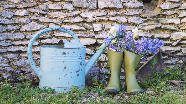 A chipped blue watering can sits next to a pair of green gardening boots filled with purple flowers