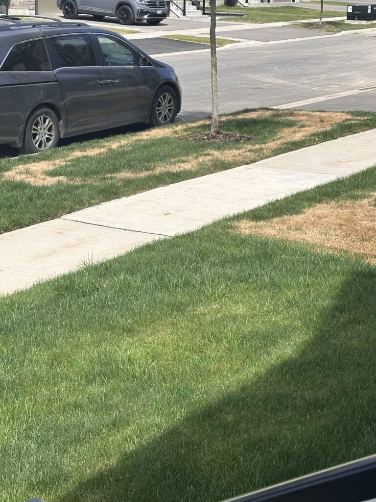 My neighbour messed up