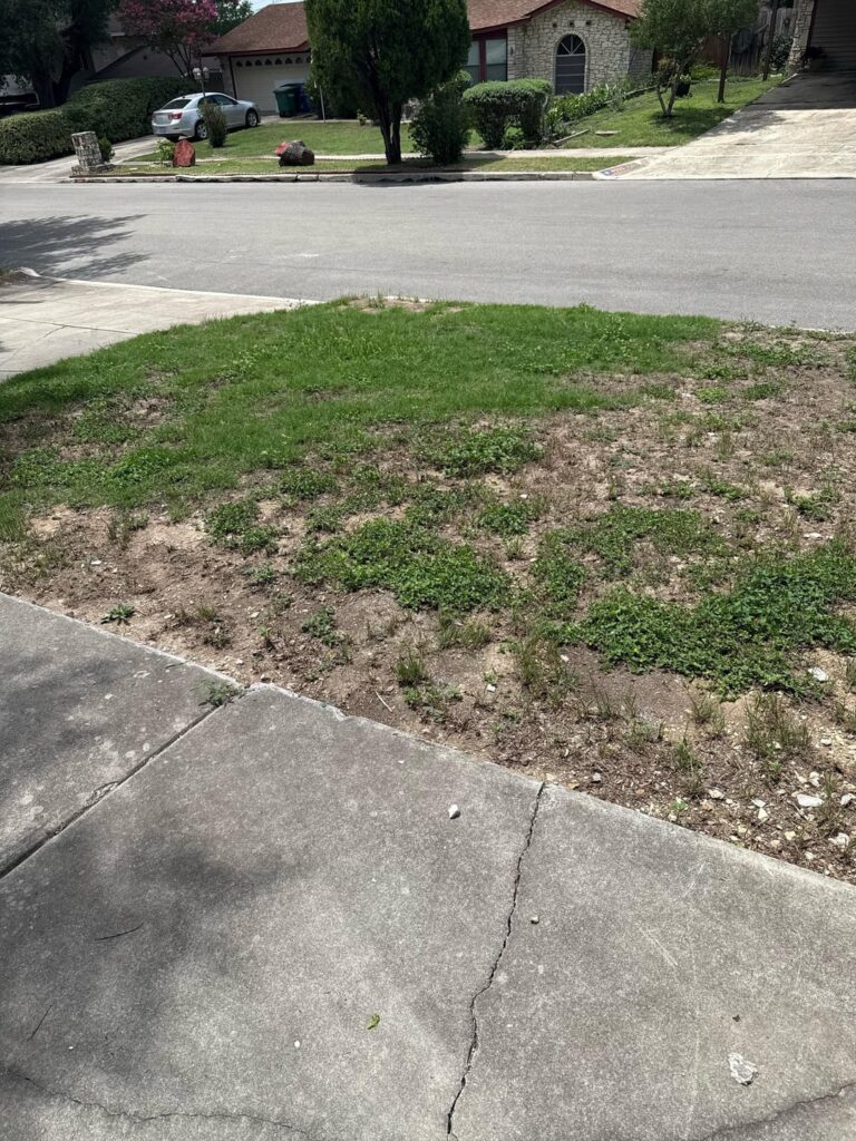 What do I do?? The weeds are out of control!!