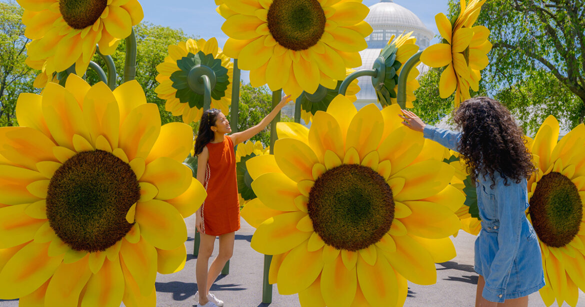 Van Gogh’s Flowers Come to Life at New York Botanical Garden
