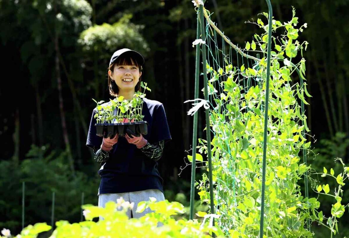 Single Style / Vegetable Gardening Heals Hearts, Creates Special Feelings of Fulfillment