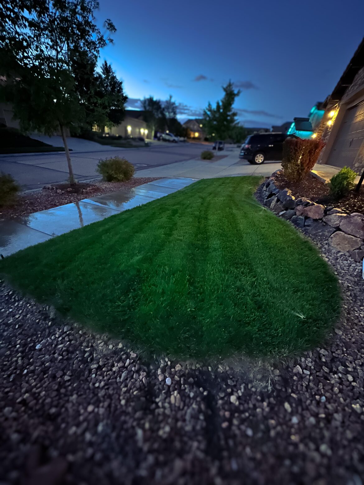 Tiny lawn crew reporting in.