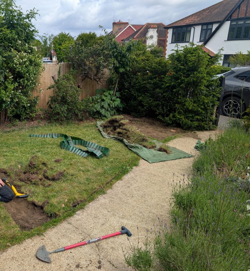 We got rid of our front lawn!