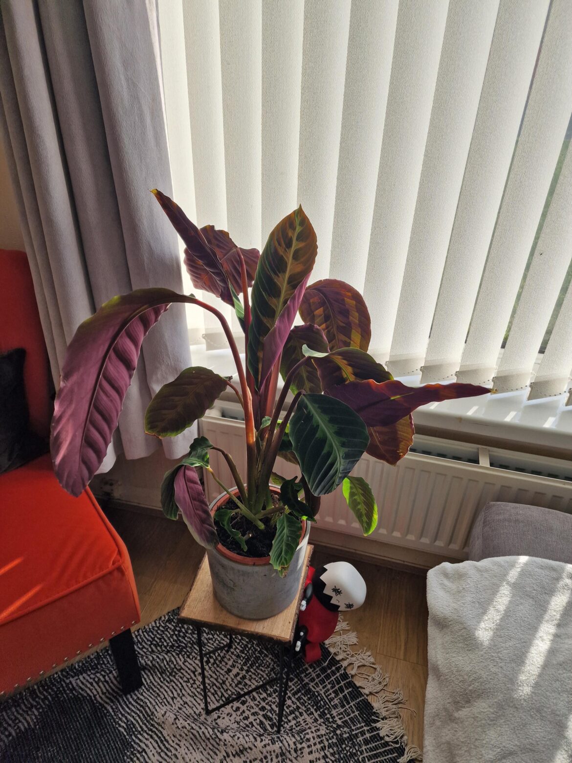 So many leaves!
