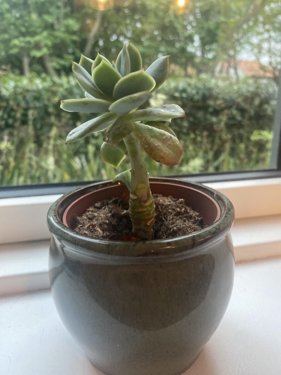 Can anyone help?