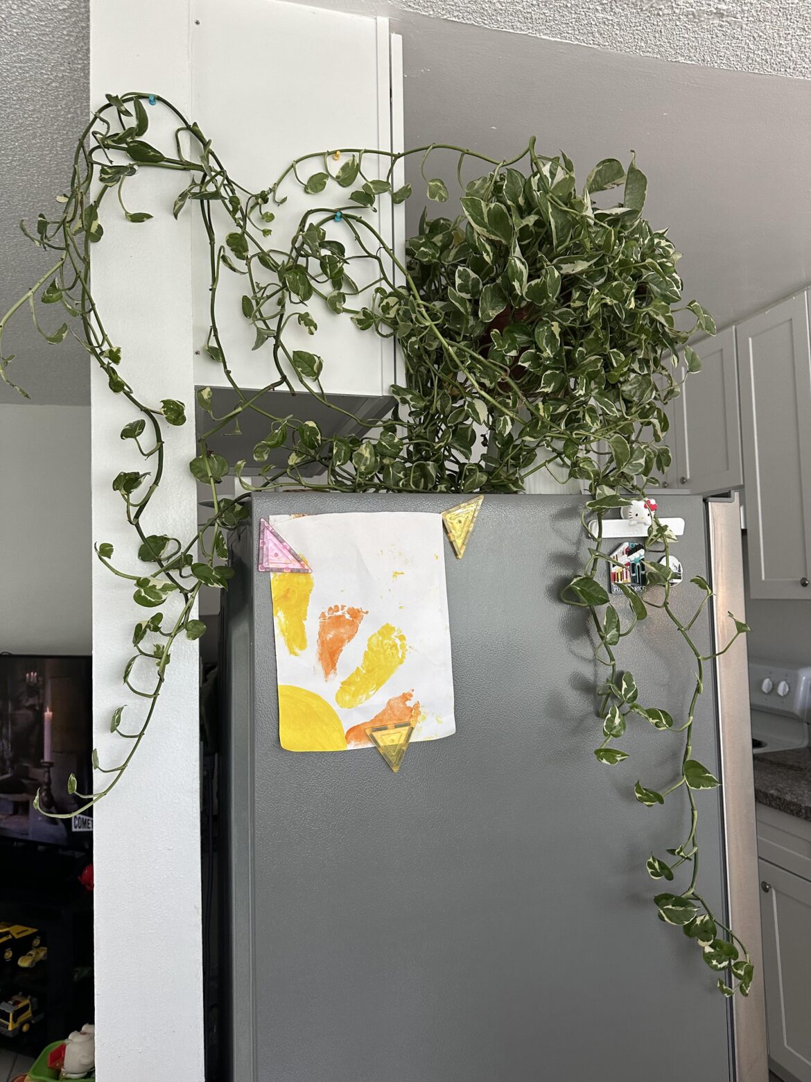She’s HUGE! What should I do? (Apartment living) She's HUGE! What should I do? (Apartment living)